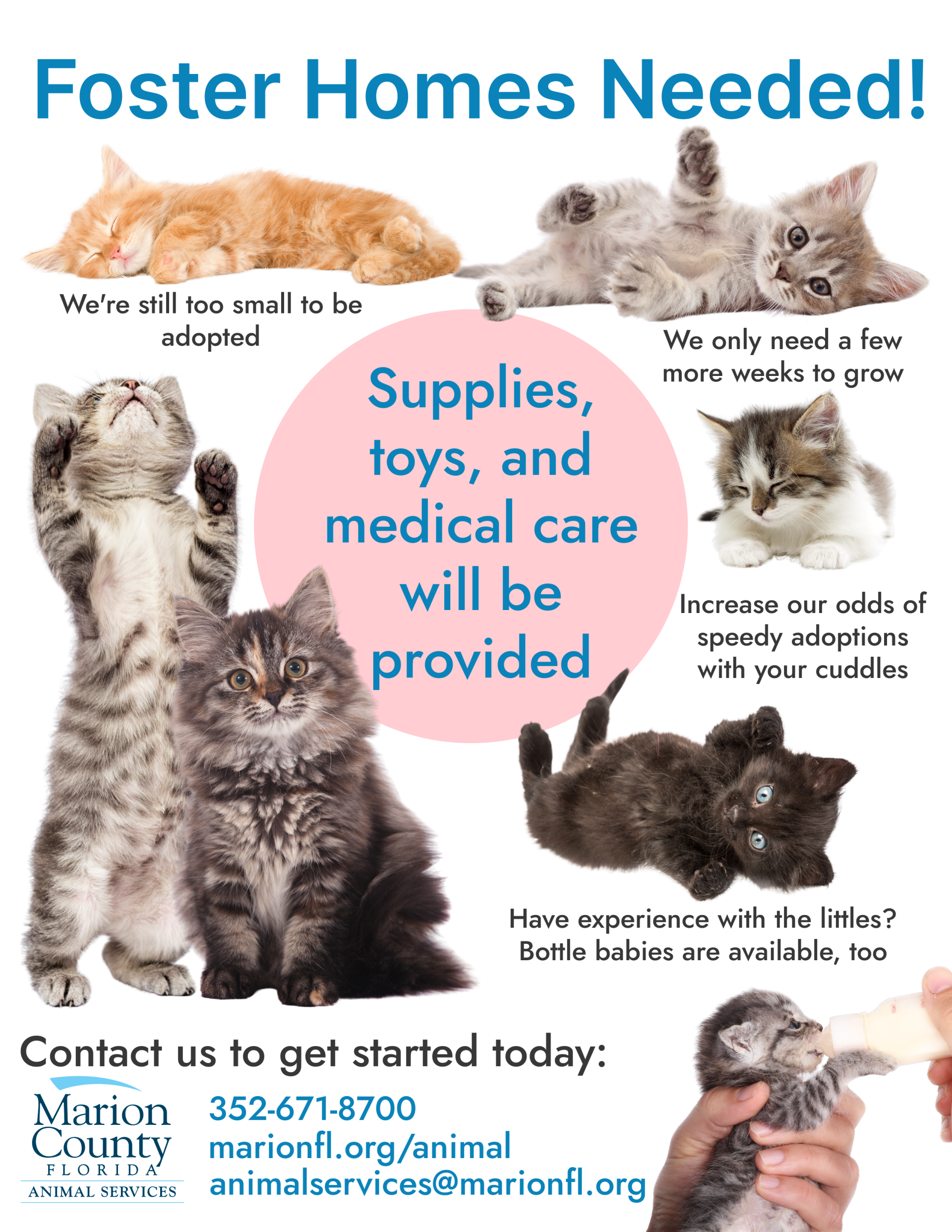 foster homes needed flyer